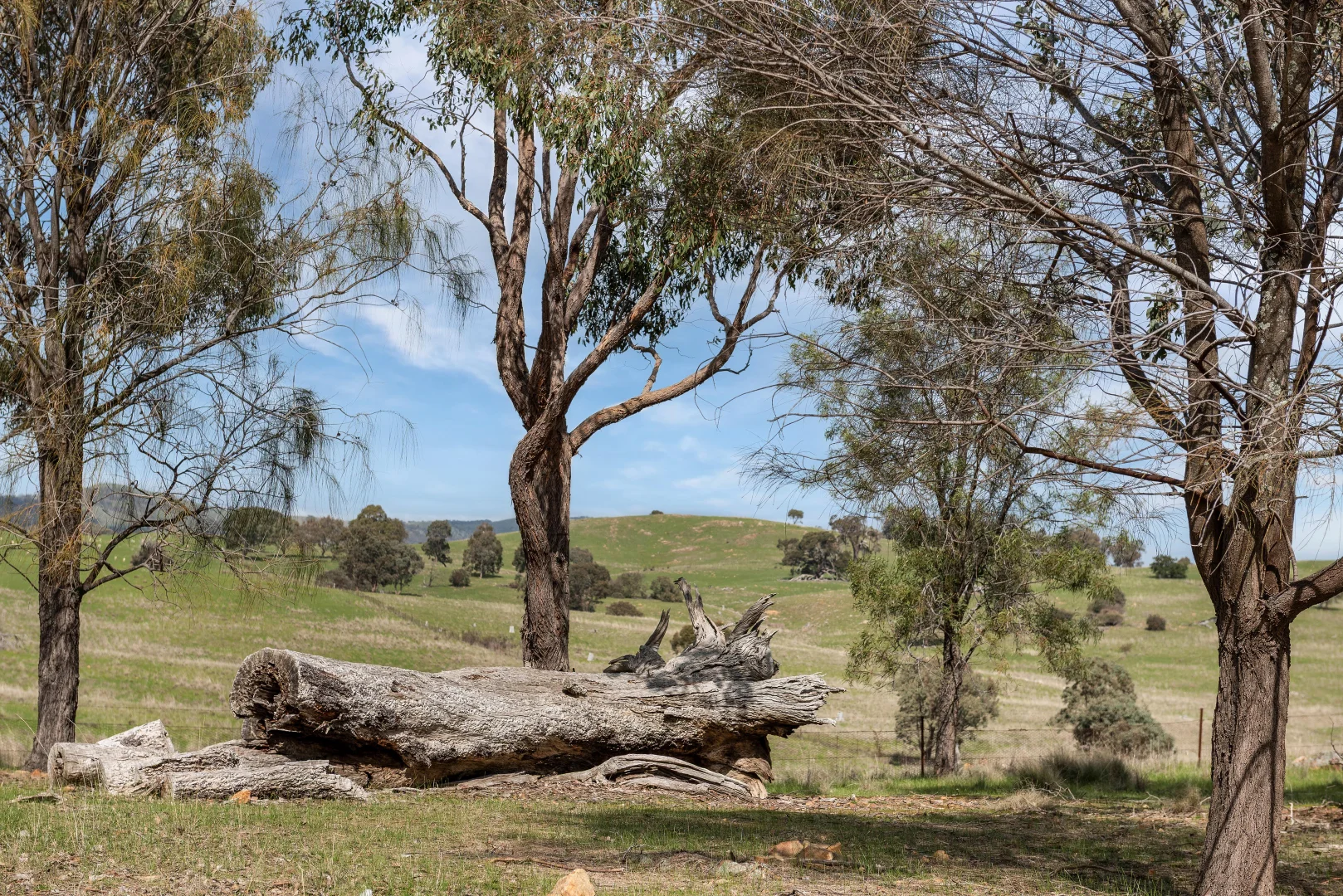 Additional image 6 of 505 Hardings Lane, Tooborac VIC 3522