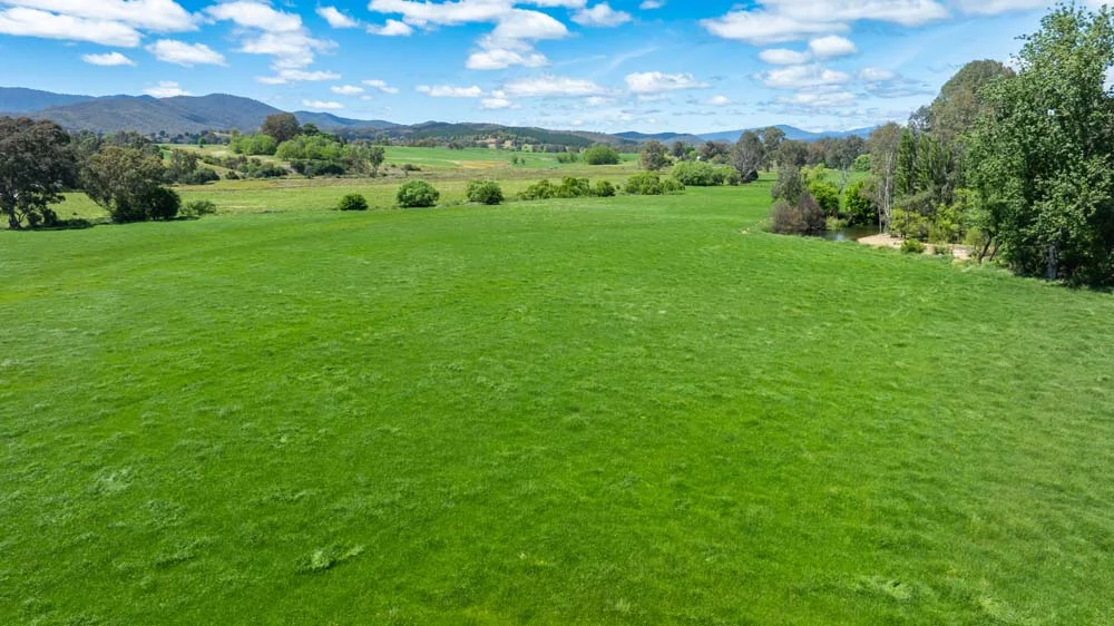 Additional image 21 of 1279 Edi-Cheshunt Road, Whitfield VIC 3733