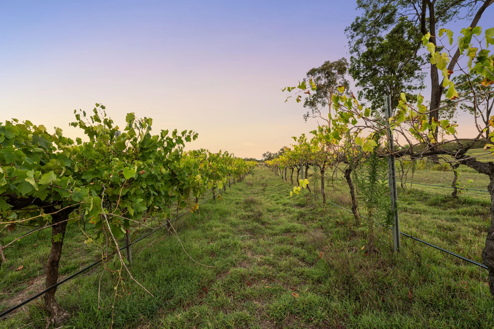 Additional image 44 of 356 Tuckers Lane, Greta NSW 2334