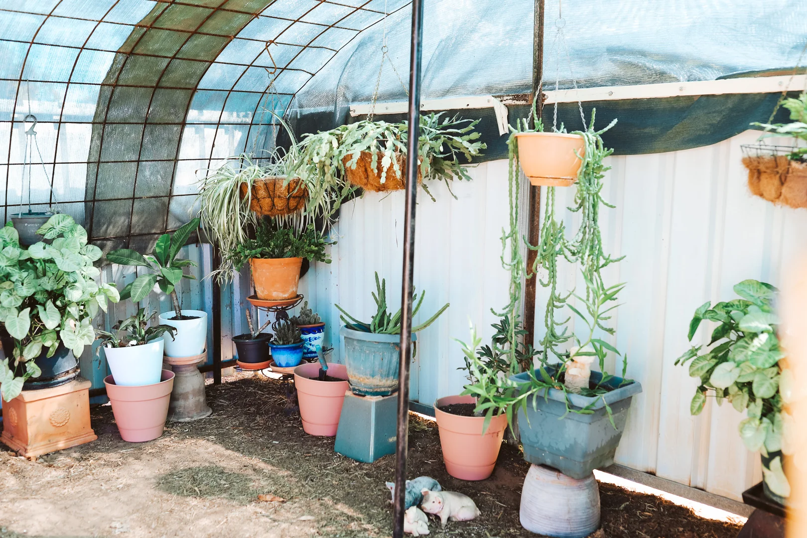 Additional image 27 of 27 Coonamble Street, Gulargambone NSW 2828