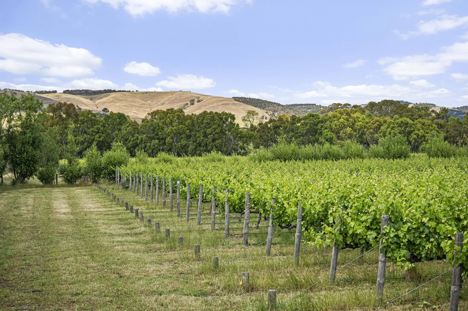 Additional image 5 of 185 Ryan Road, Sellicks Hill SA 5174