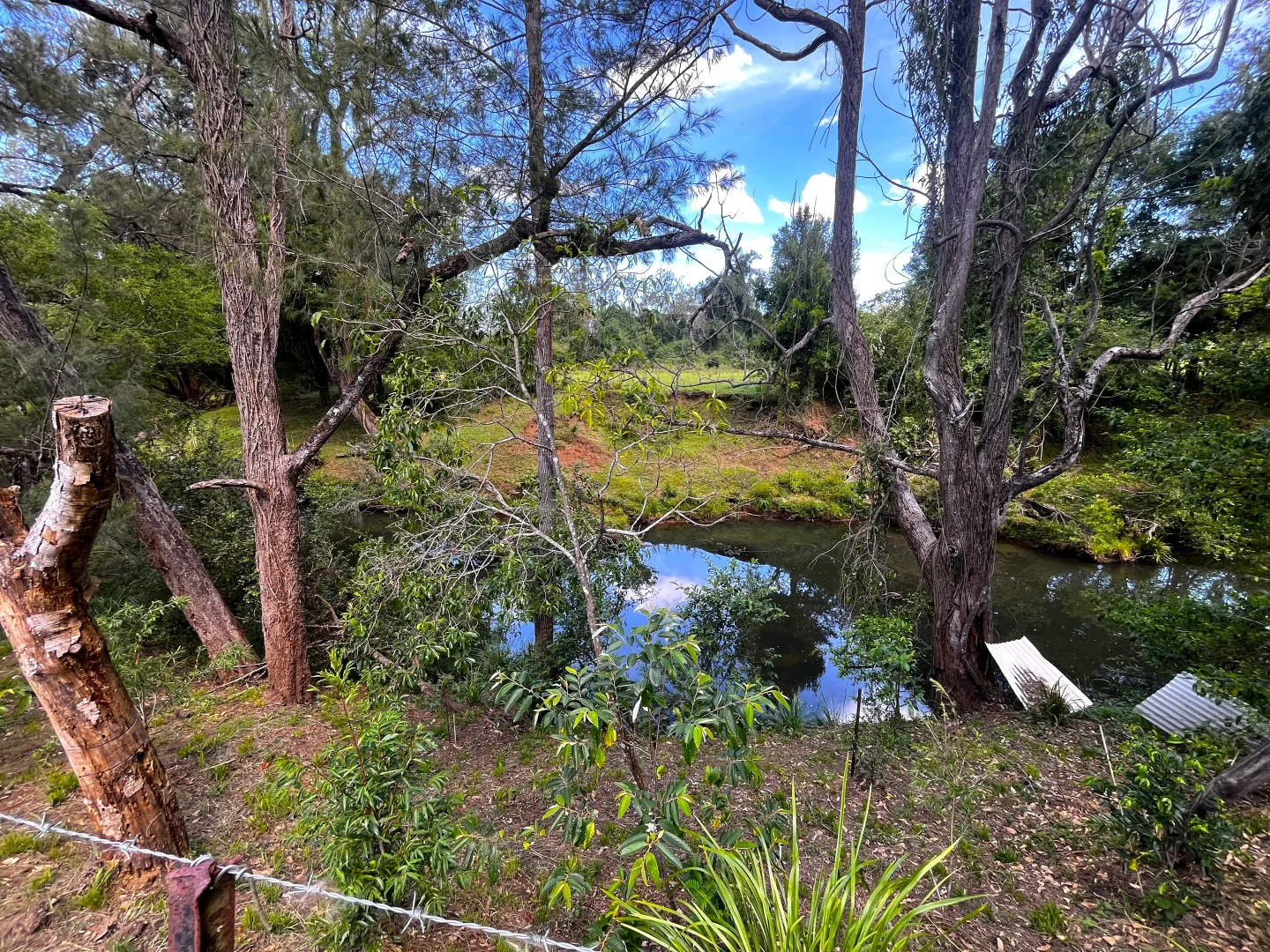 Additional image 28 of 1254 Afterlee Road, Kyogle NSW 2474
