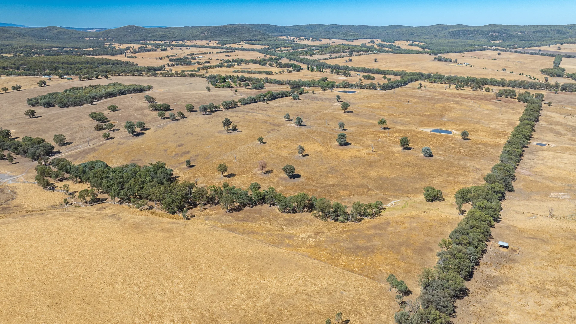 Additional image 28 of 175 Toveys Road, Chiltern VIC 3683