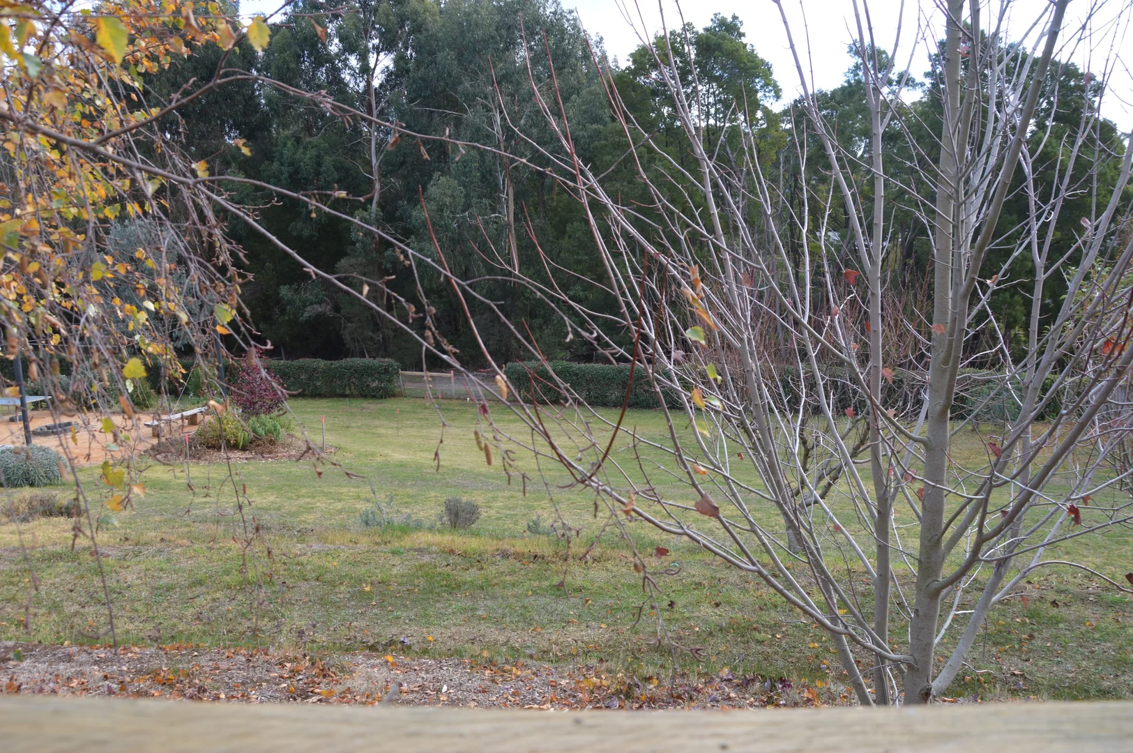 Additional image 4 of 6/5 Stansfield Court, Leongatha VIC 3953