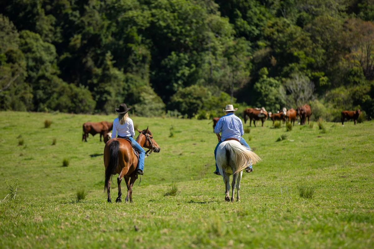 Additional image 12 of Bingeebeebra Creek, Mummulgum NSW 2469