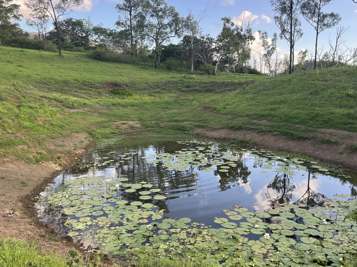 Additional image 36 of 23608 Peak Downs Highway, Eton QLD 4741