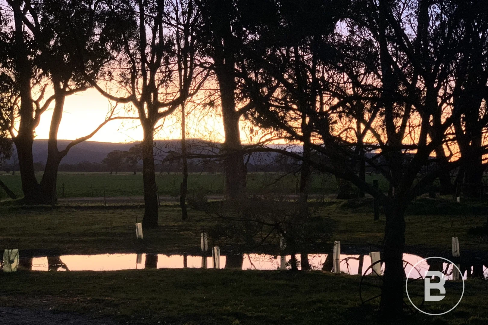 Additional image 21 of 195 Wolfs Lane, Avoca VIC 3467