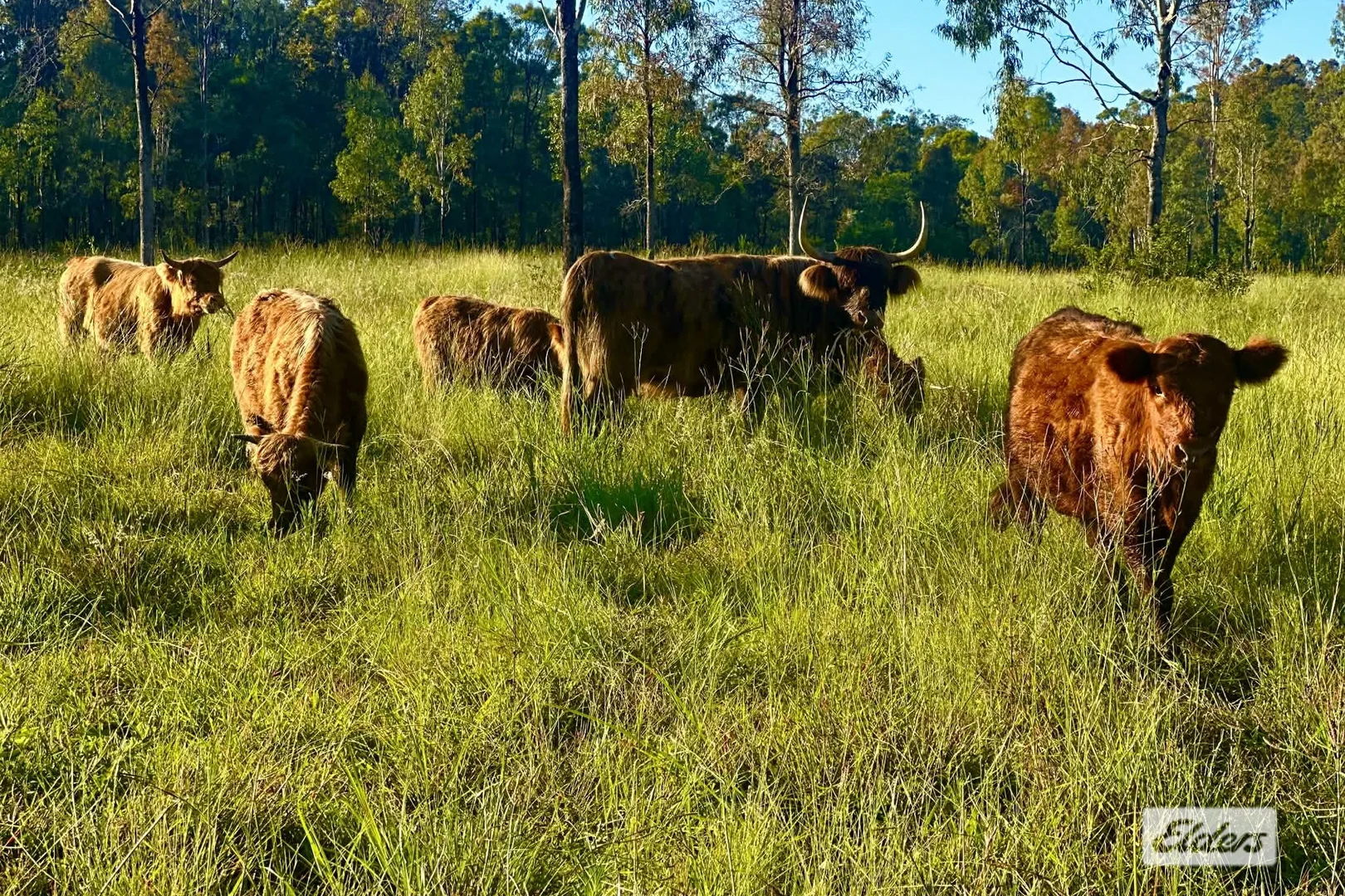 Additional image 11 of 108 Brennan Road, Calvert QLD 4340