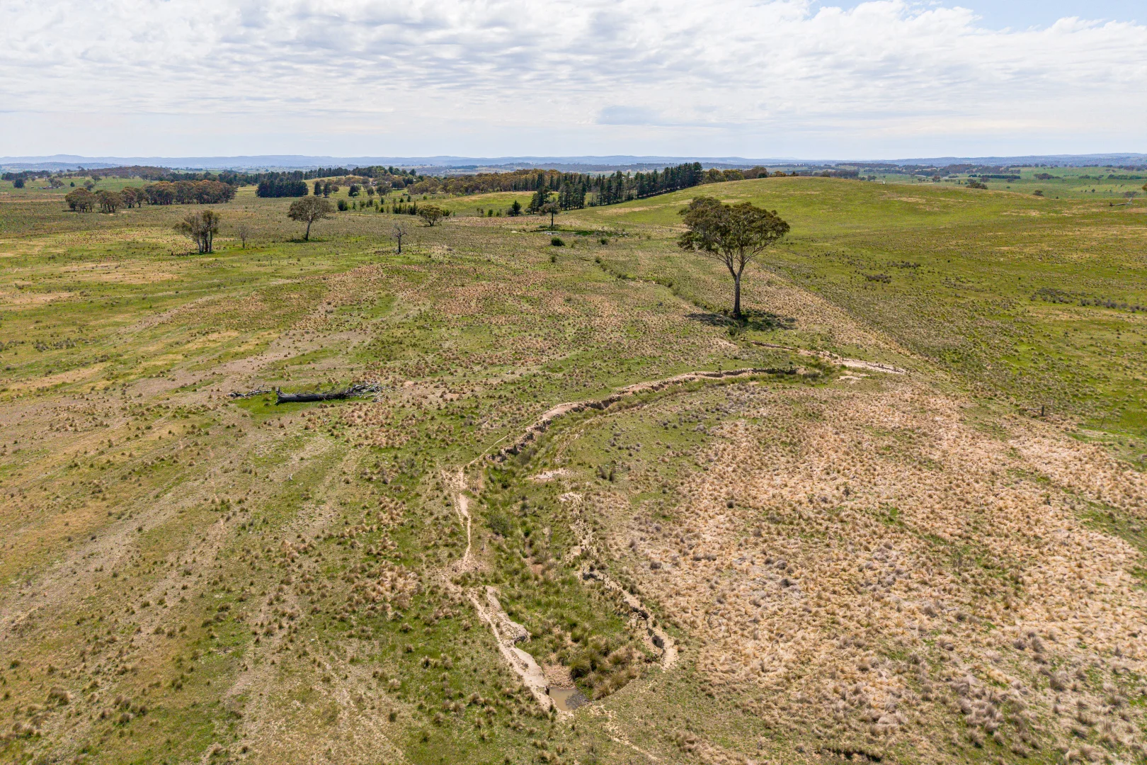 Additional image 69 of 87 Westmead Lane, Sutton NSW 2620