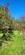 Additional image 53 of Llandysul, SA44