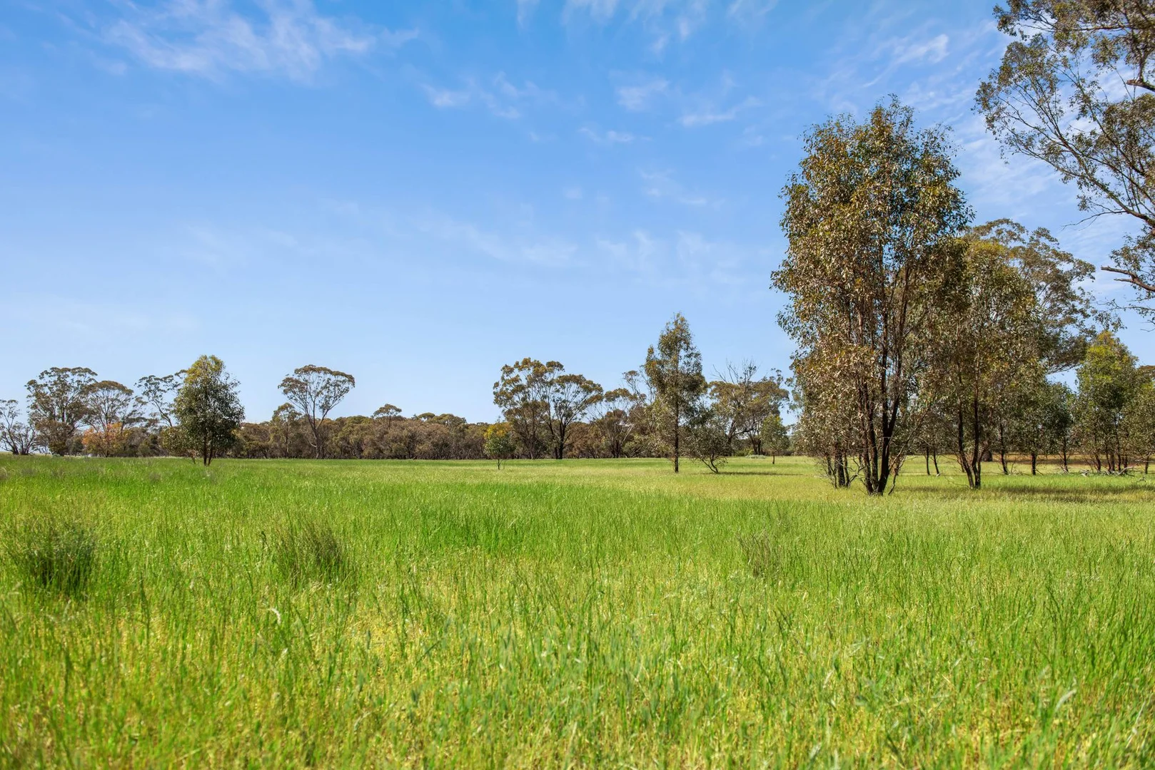 Additional image 8 of CA 45 Kellys Road, Kamarooka VIC 3570