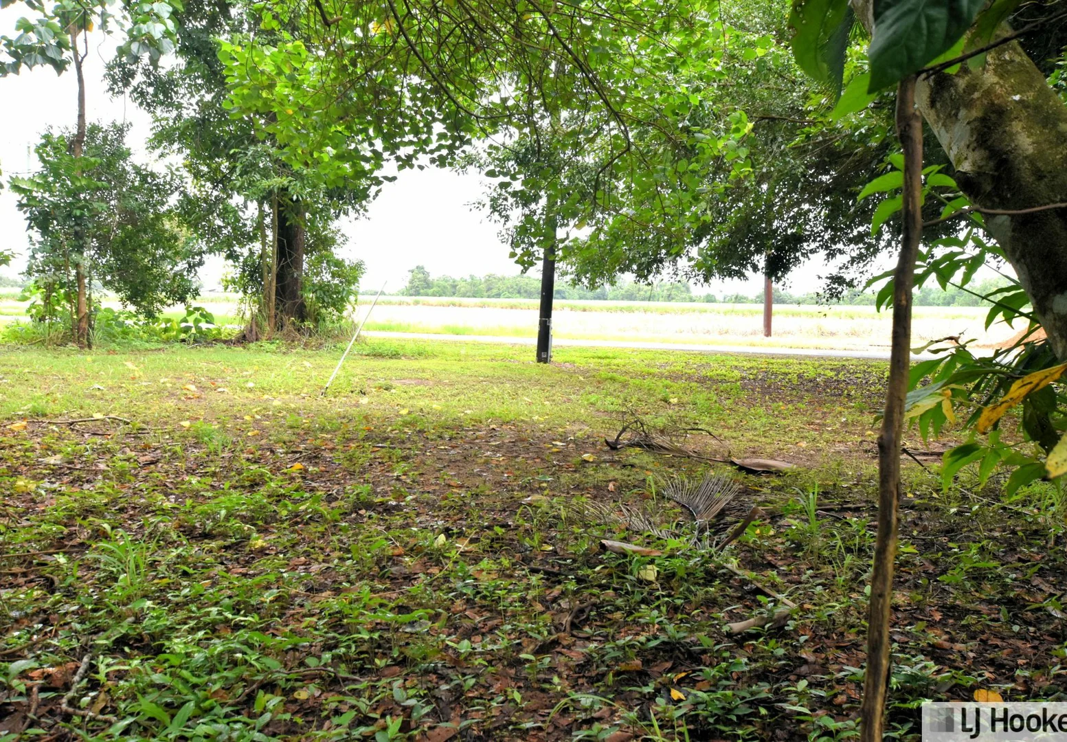 Additional image 10 of 799 Davidson Road, Euramo QLD 4854