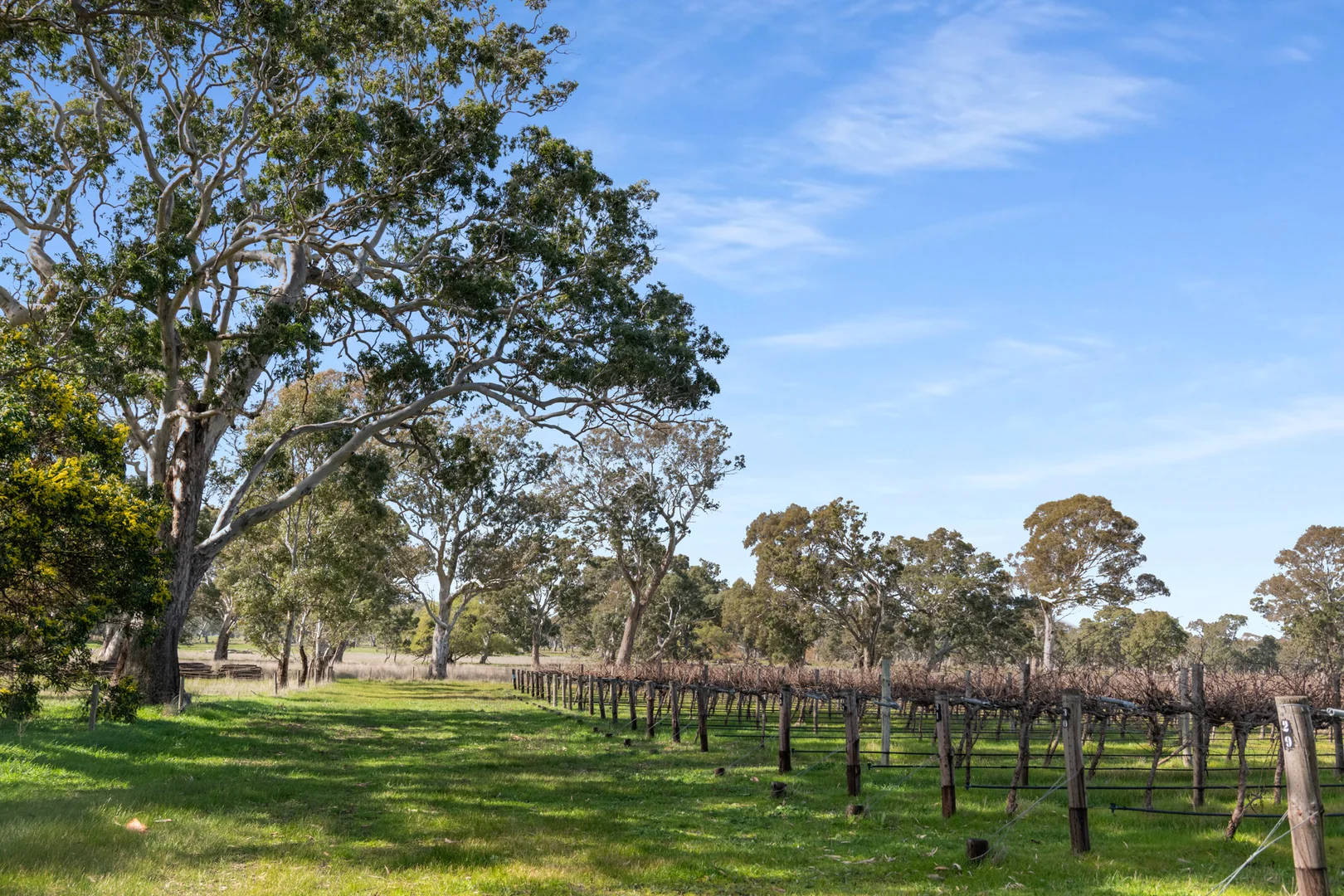 Additional image 8 of Lot 106/108 Dergholm Road, Penola SA 5277