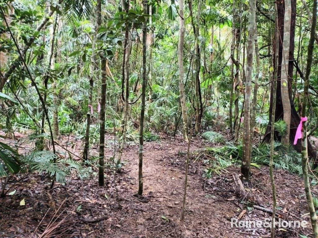 Additional image 24 of Lot 11 Milky Pine Road, Kimberley, Daintree QLD 4873