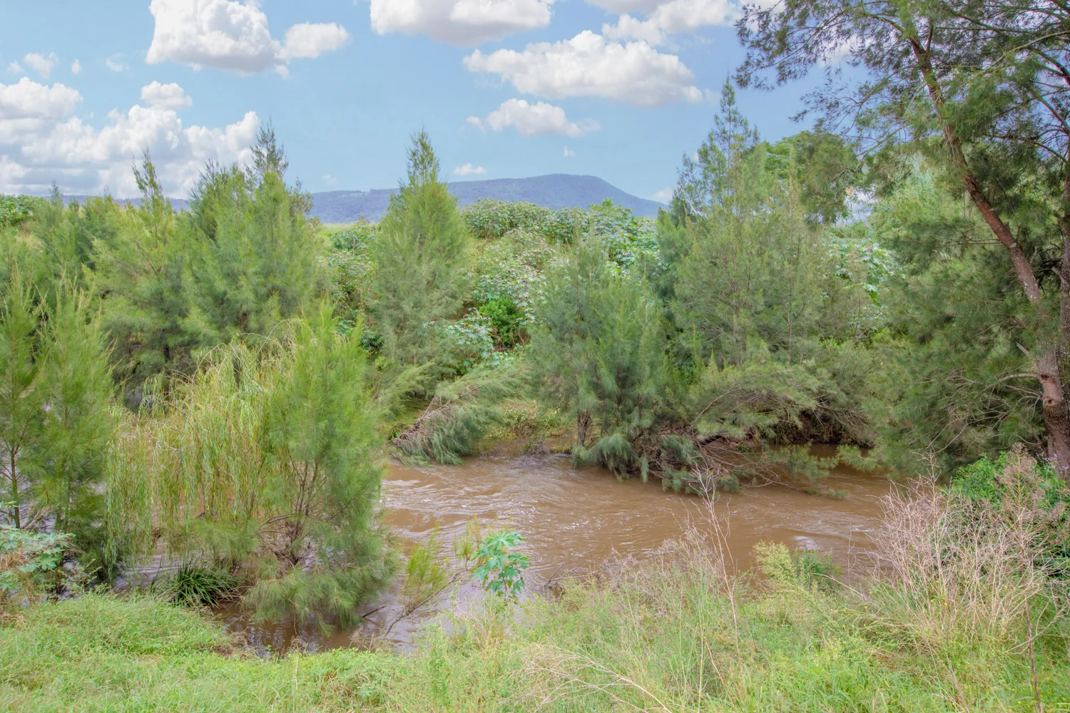 Additional image 6 of 43 Sanctuary Way, Vacy NSW 2421