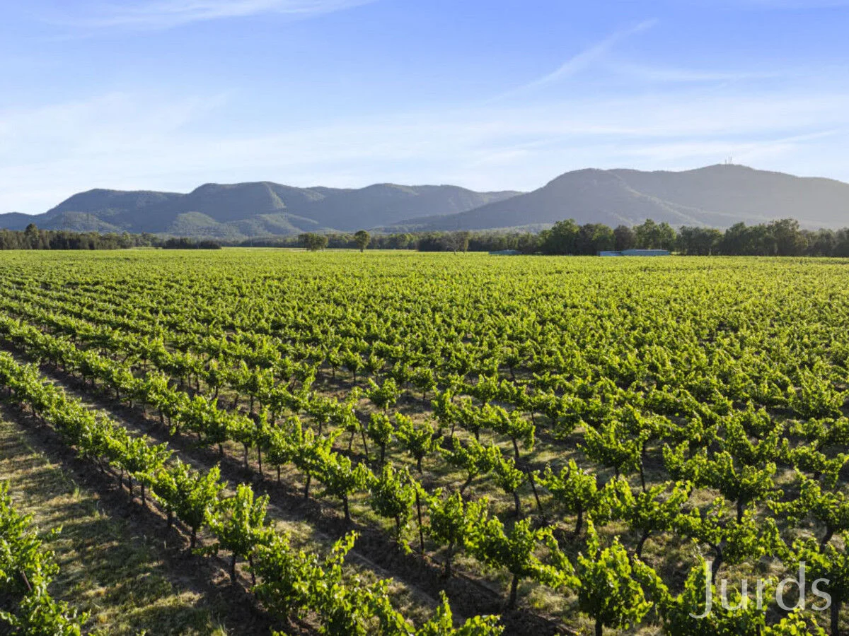 Additional image 3 of 2/DP707940 Hermitage Road, Pokolbin NSW 2320