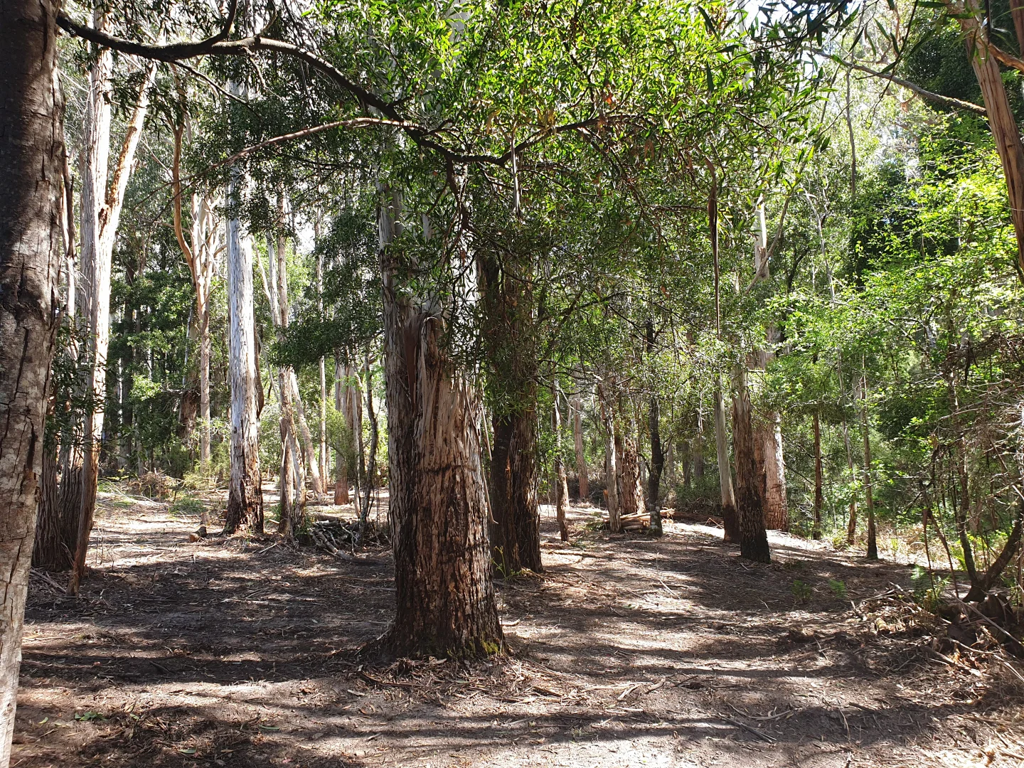 Additional image 10 of 33 Holmes Road, Ellendale TAS 7140