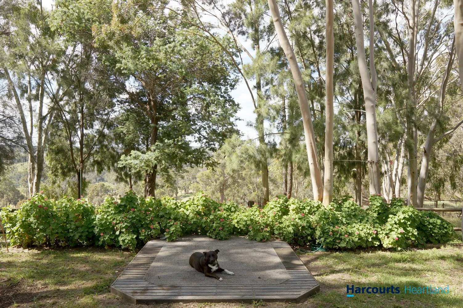 Additional image 22 of 16 Doherty Court, Kangaroo Gully WA 6255