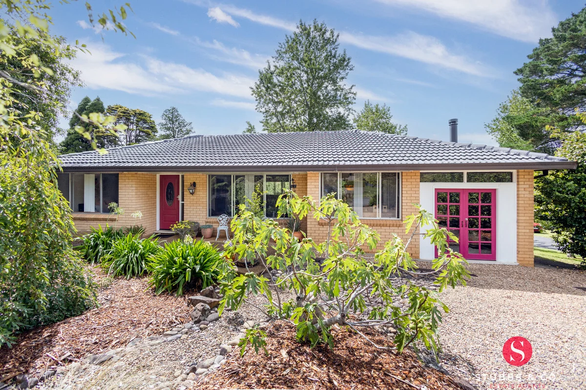 16 Appledon Avenue, Wentworth Falls NSW 2782