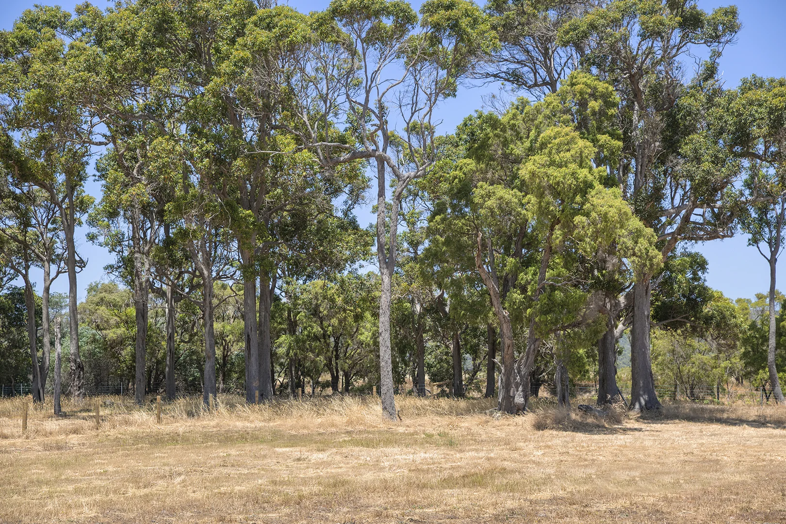 Additional image 3 of 70 Moondyne Ridge, Kudardup WA 6290