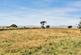Additional image 20 of Wigton CA7