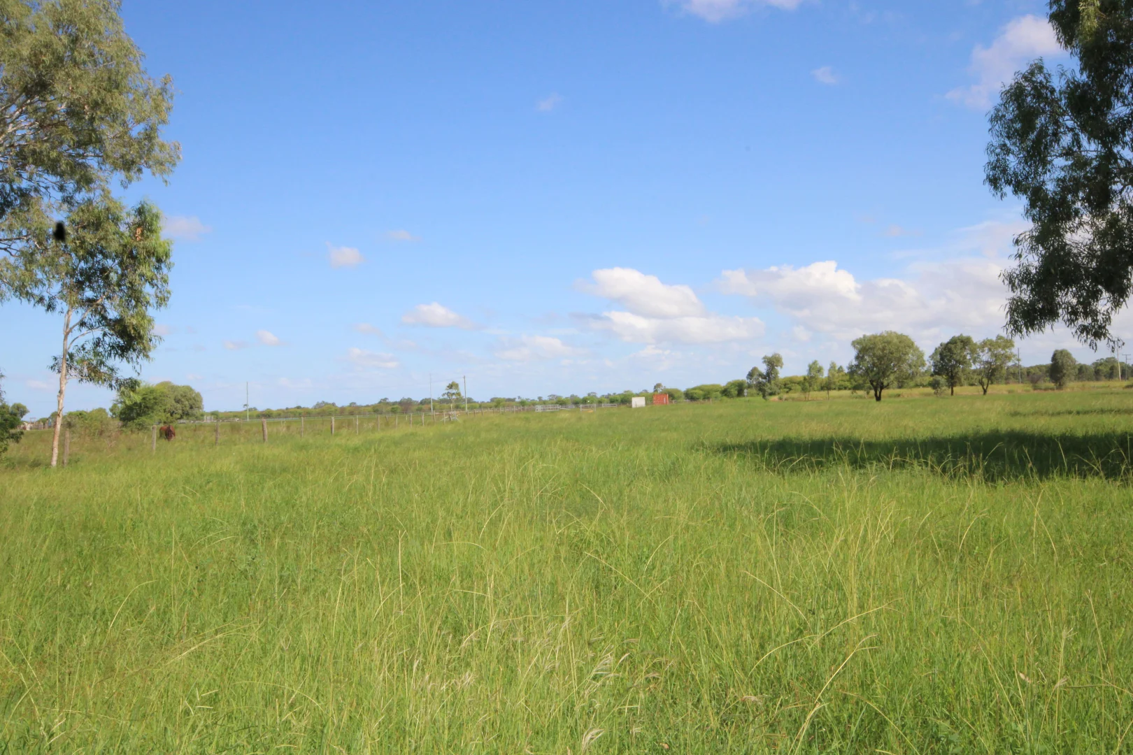 Additional image 32 of 366 GEORGE STREET, Depot Hill QLD 4700