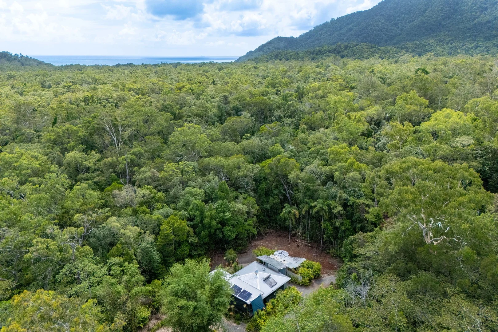 59-101 Quandong Road, Cow Bay, Daintree QLD 4873