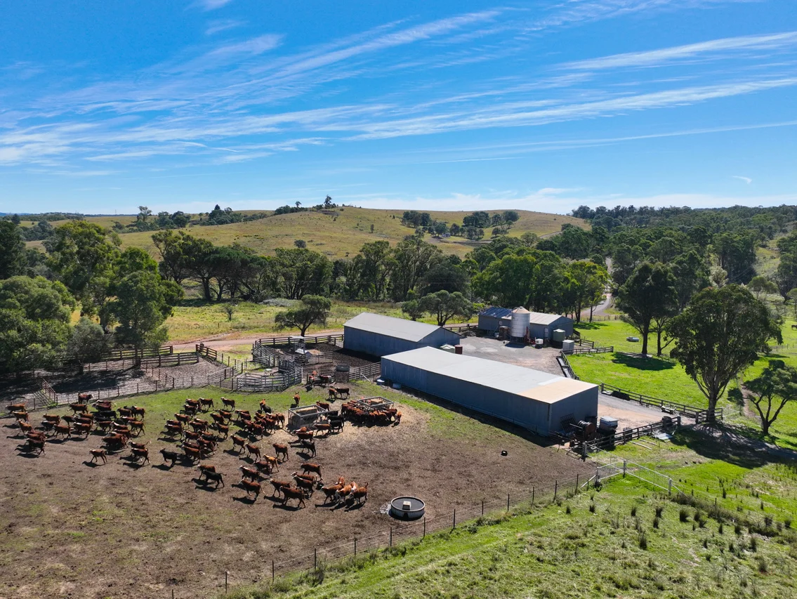 Additional image 9 of 710 Inverary Road, Paddys River NSW 2577