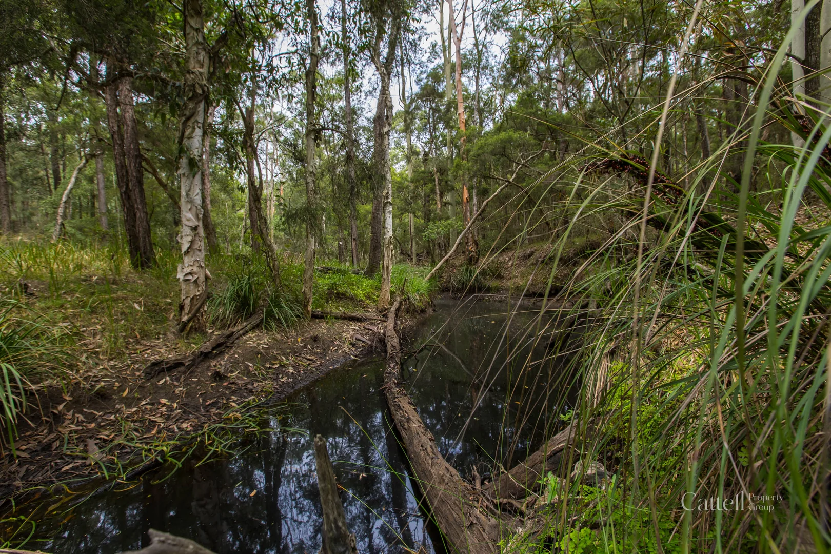Additional image 5 of Lot 41 Bakers Lane, Sawyers Gully NSW 2326