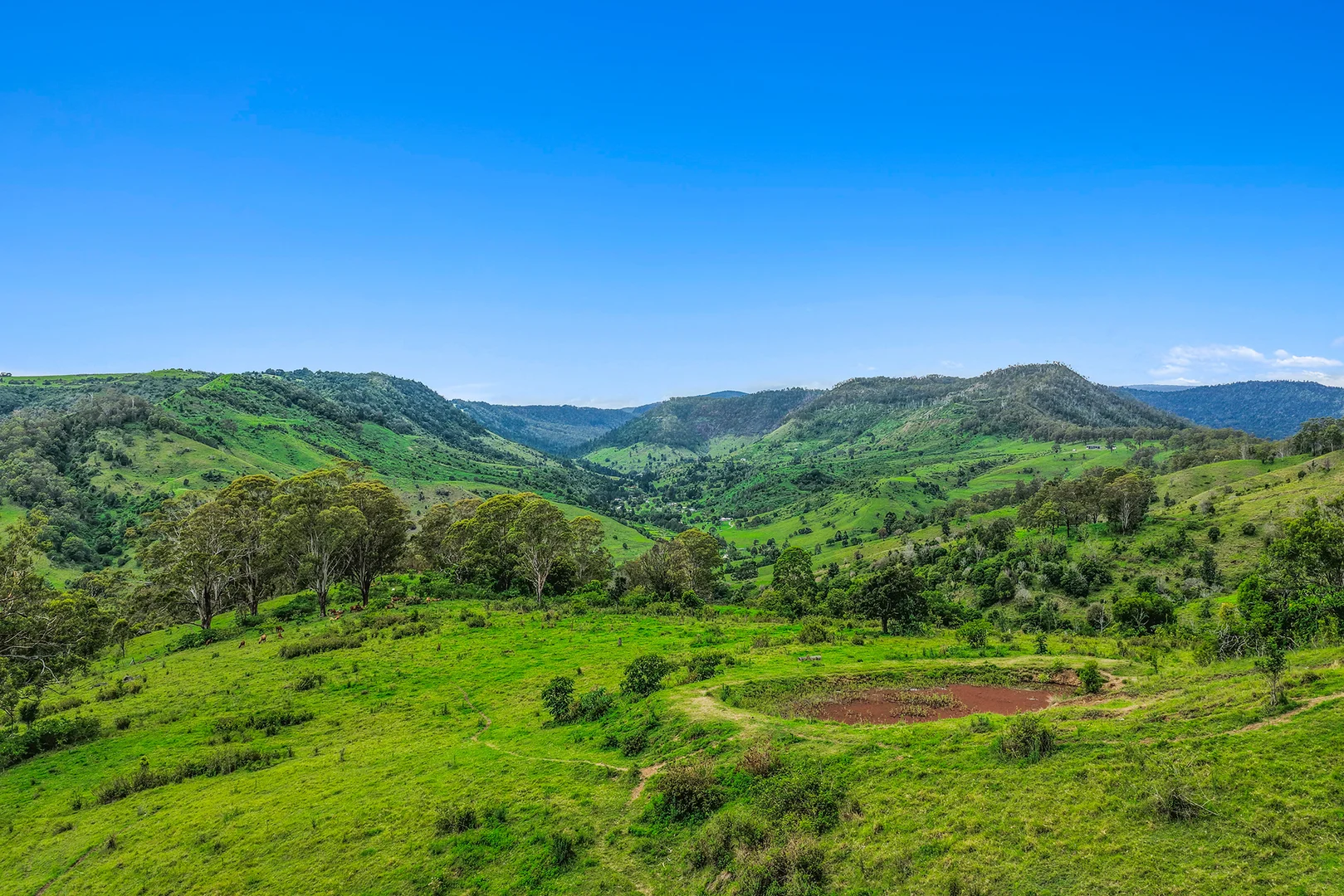 Additional image 18 of 248 Illinbah Road, Illinbah QLD 4275