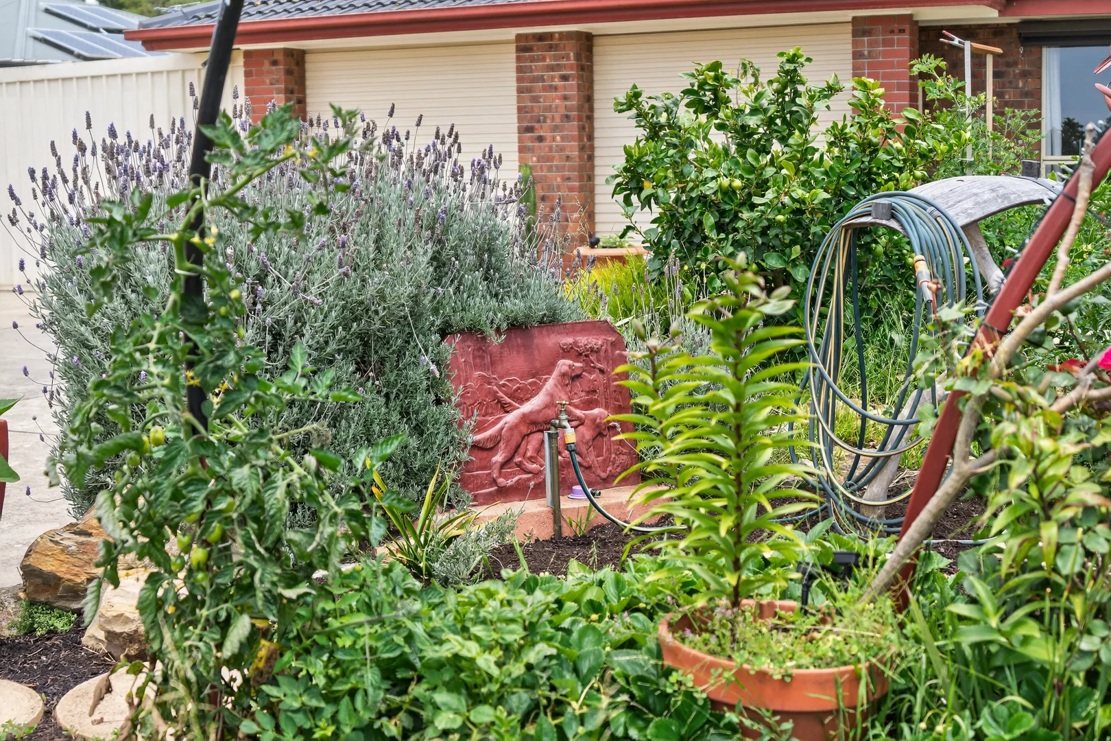 Additional image 27 of 45 George Francis Drive, Mount Compass SA 5210