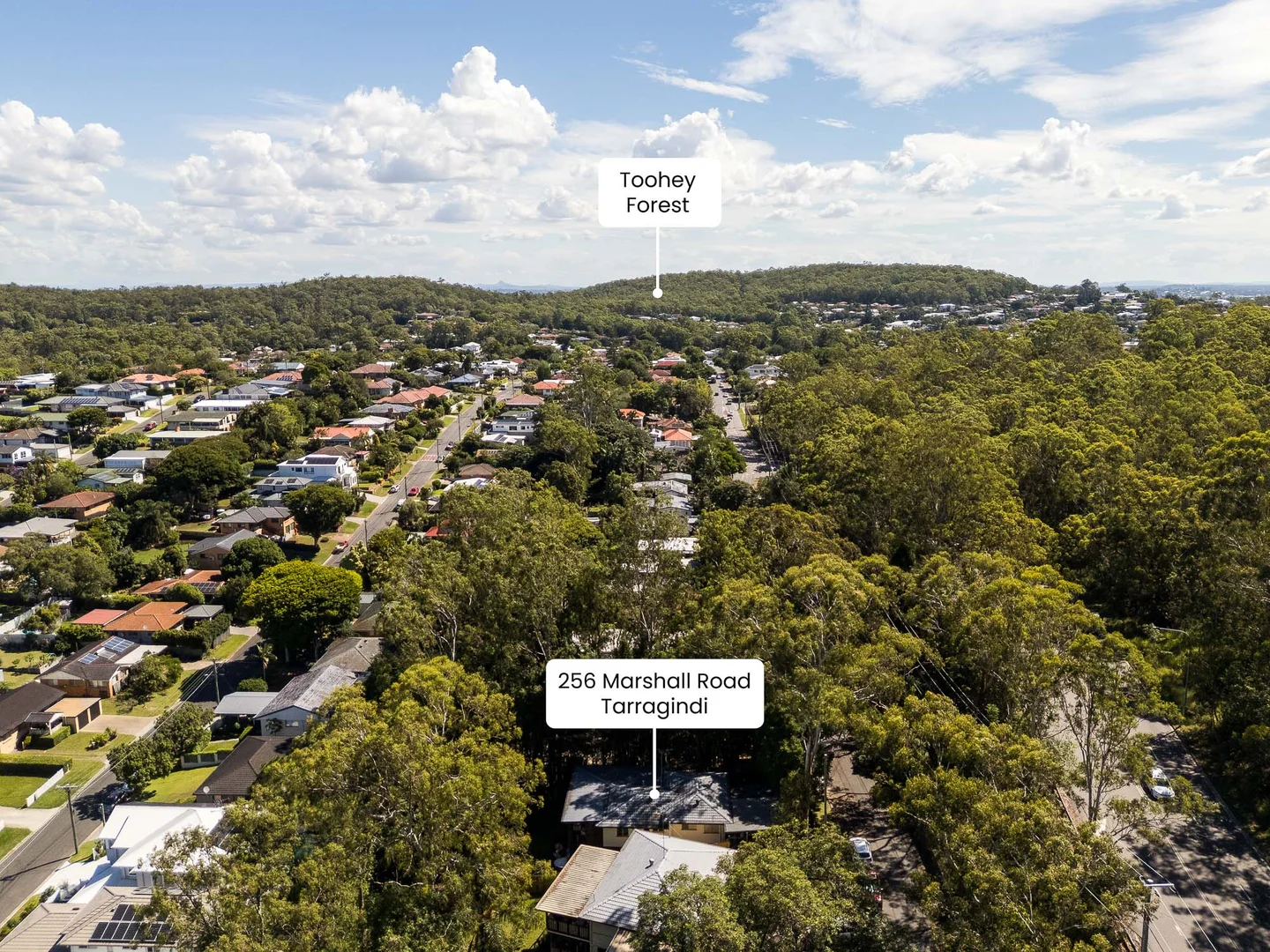 Additional image 26 of 256 Marshall Road, Tarragindi QLD 4121
