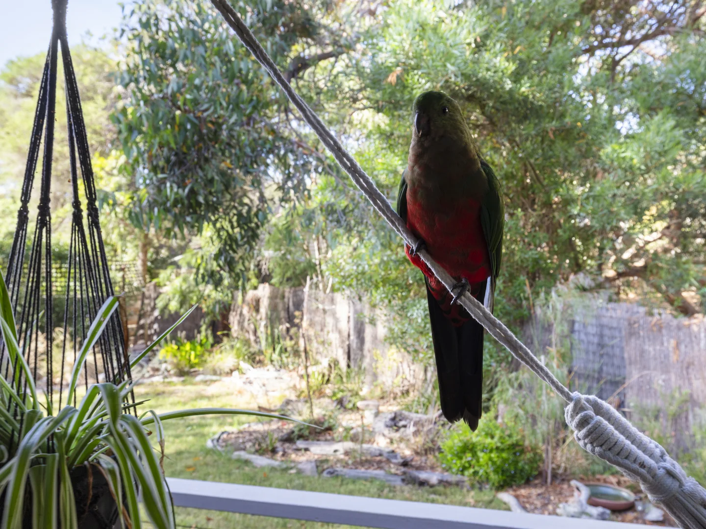 Additional image 15 of 3 Brentlauren Court, Anglesea VIC 3230