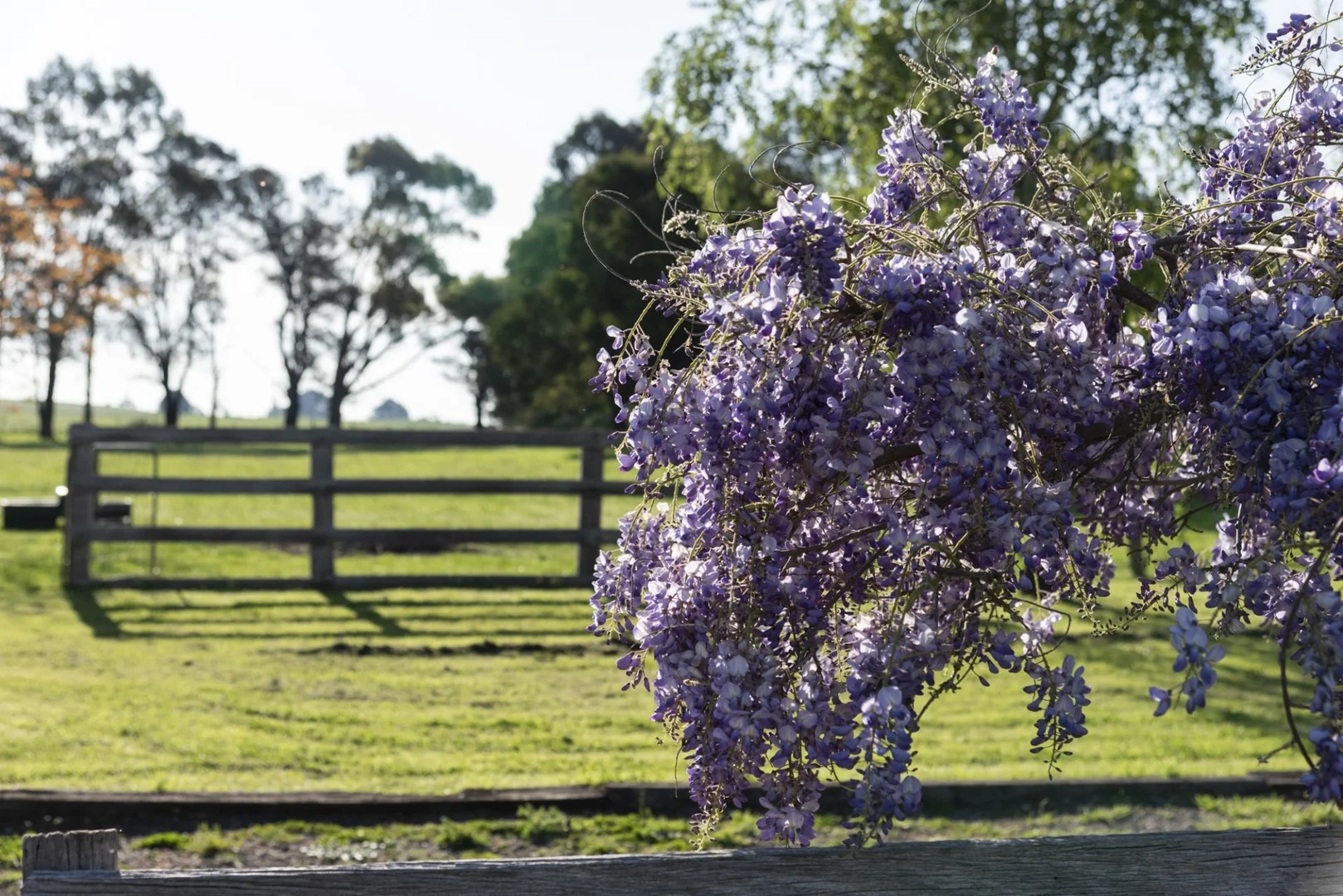 Additional image 21 of 25 McMahons Road, Glenlyon VIC 3461