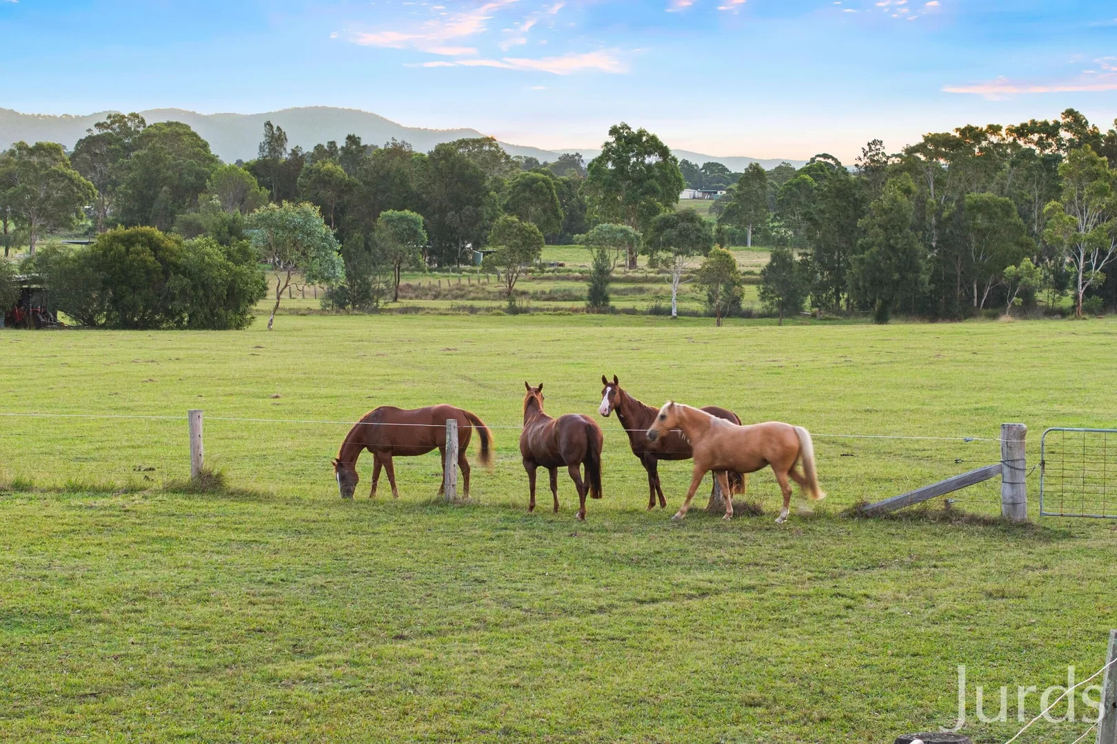 Additional image 38 of 256 Mill Lane, Quorrobolong NSW 2325