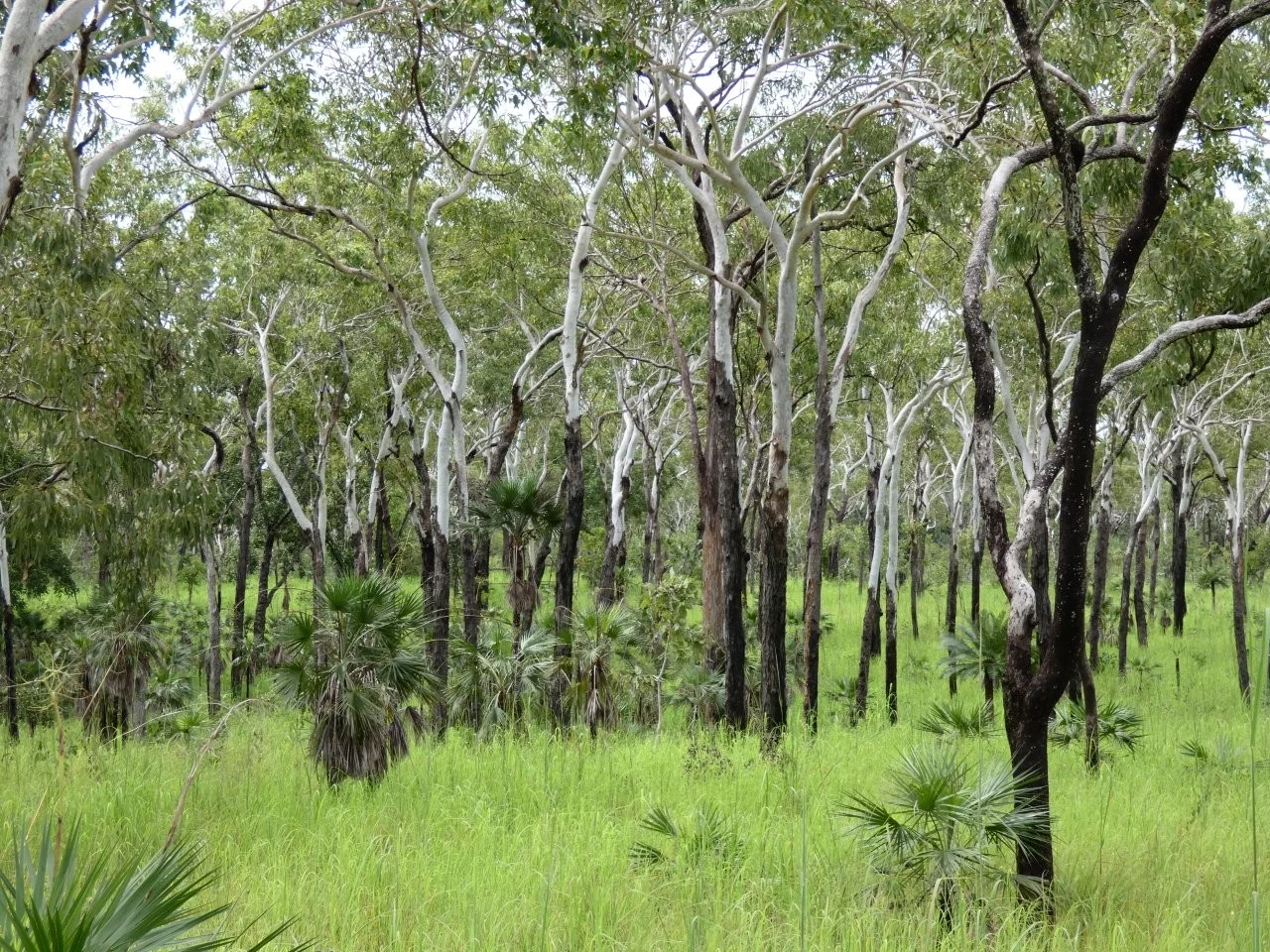 Additional image 13 of 2936 Litchfield Park Road, Charlotte NT 0822