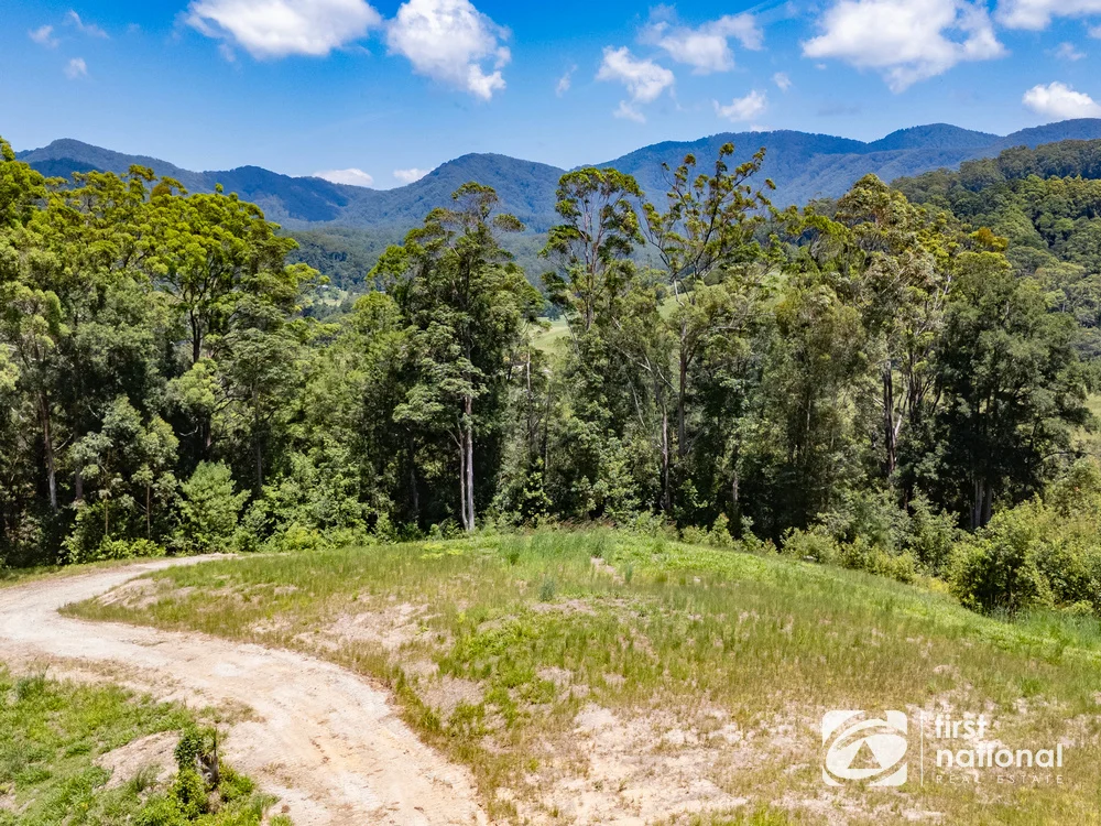 Additional image 25 of Lot 65 North Island Loop Road, Upper Orara NSW 2450