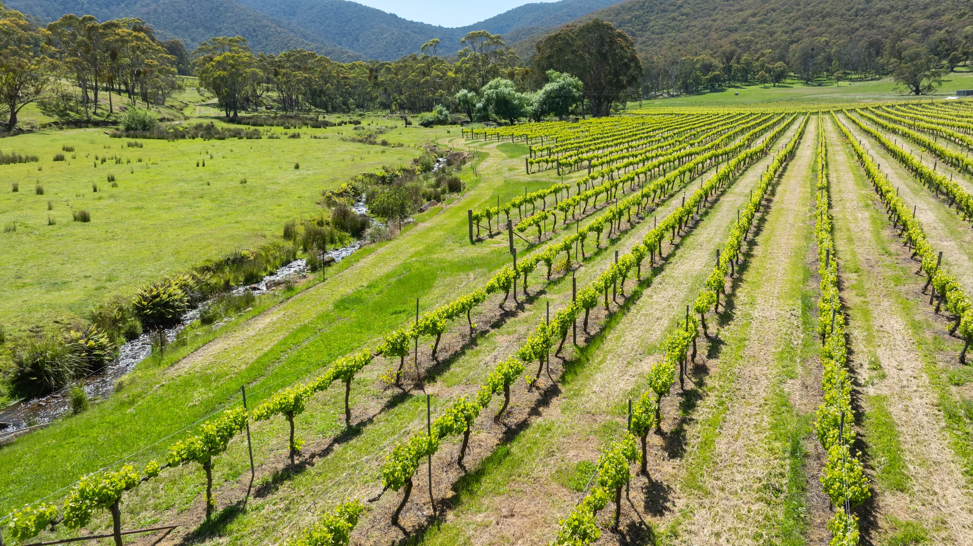 Additional image 16 of 285 Bay Creek Lane, Mongans Bridge VIC 3691