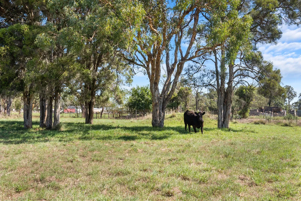 Additional image 19 of 19-25 FOURTH ROAD, Berkshire Park NSW 2765