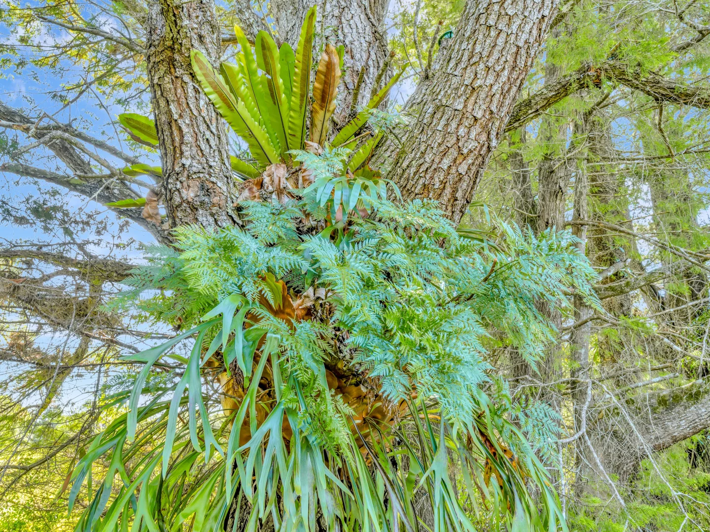 Additional image 20 of 1445 Eastern Dorrigo Way, Lowanna NSW 2450