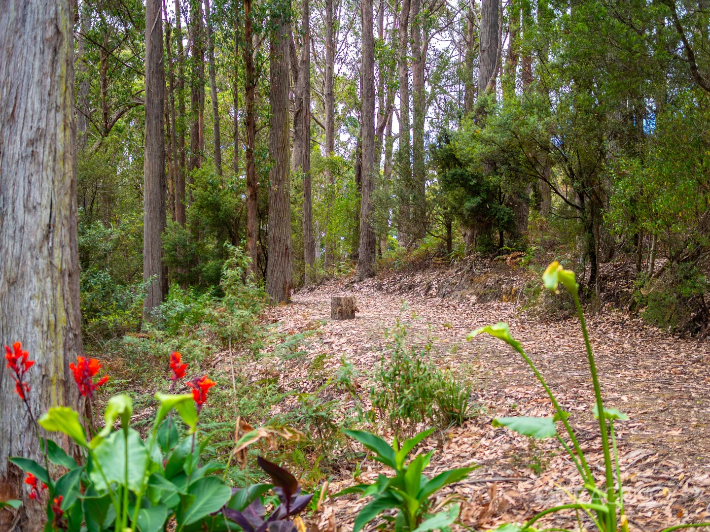 Additional image 27 of 38 Crawford Road, Penguin TAS 7316