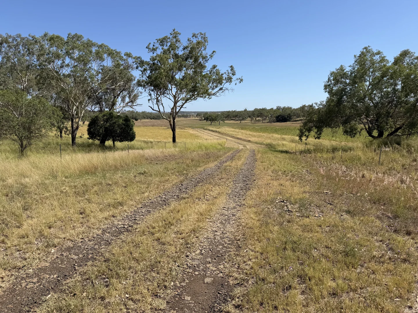 Additional image 14 of 242 Ehrlich Road, Linthorpe QLD 4356