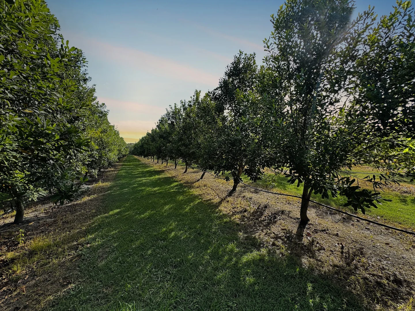 Additional image 3 of 40 Olivers Road, Goodwood QLD 4660