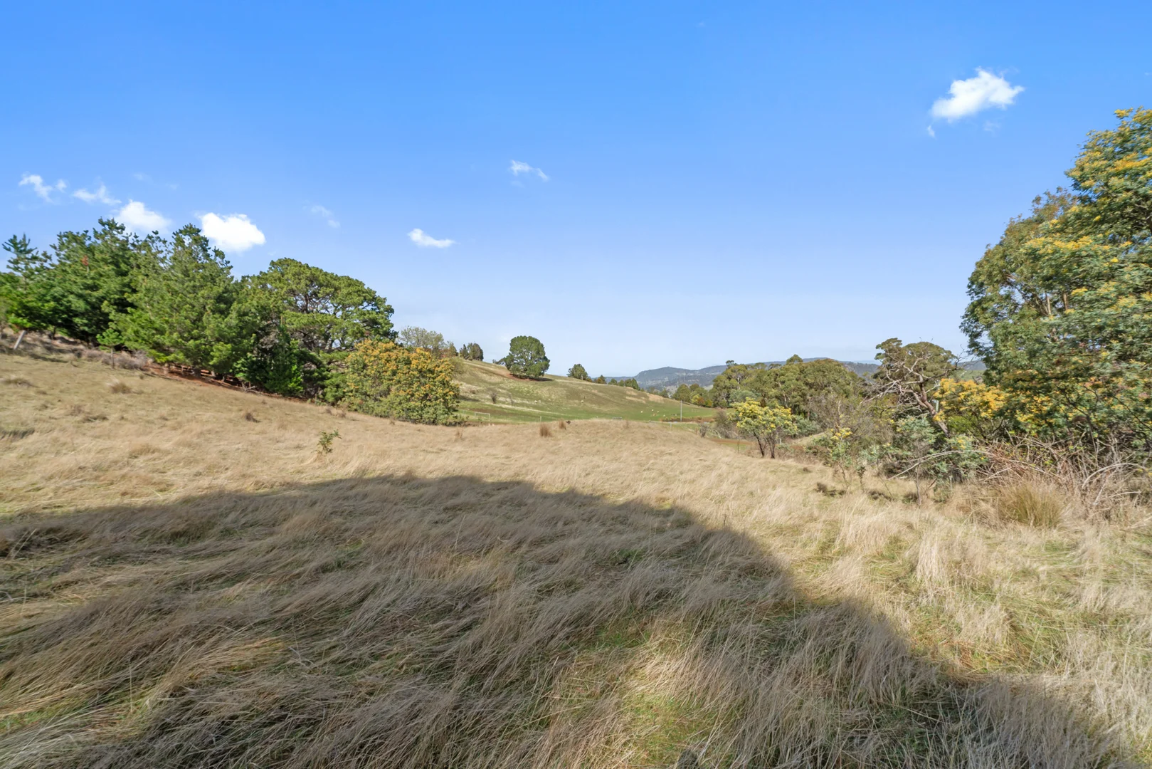 Additional image 7 of 152 Pritchards Lane, Dysart TAS 7030