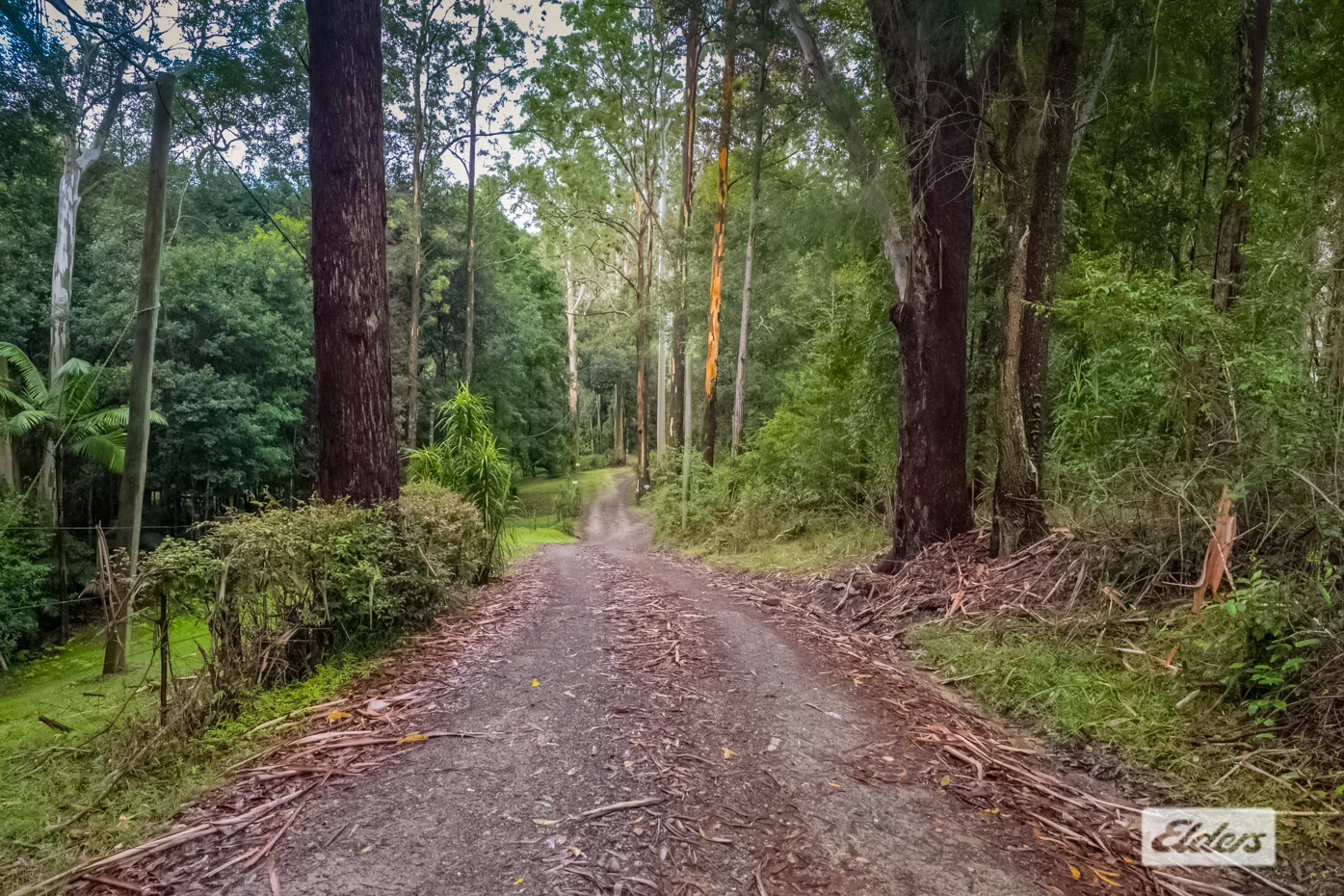 Additional image 5 of 1798 Dooralong Road, Lemon Tree NSW 2259