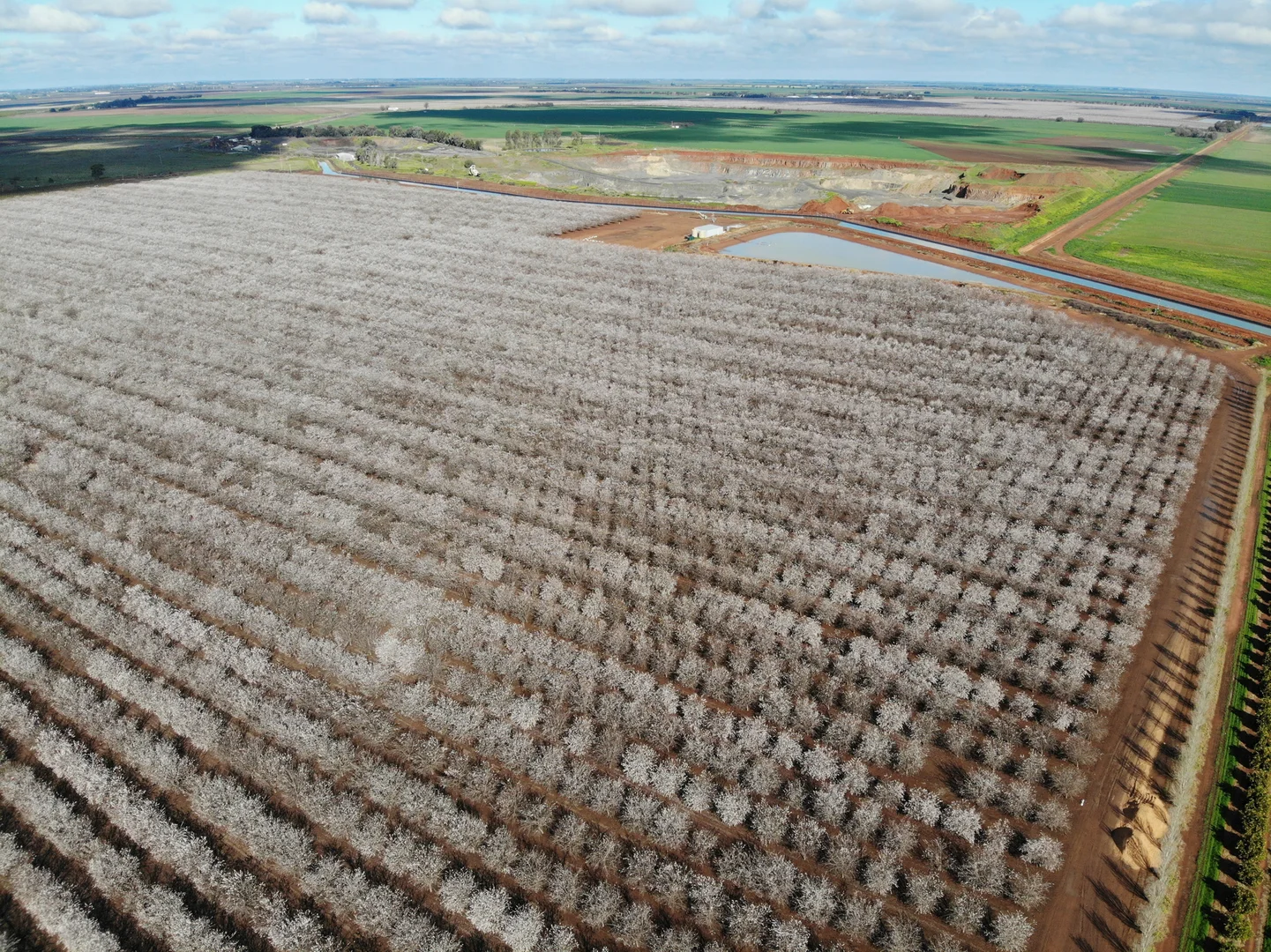 Additional image 5 of Hillston NSW 2675