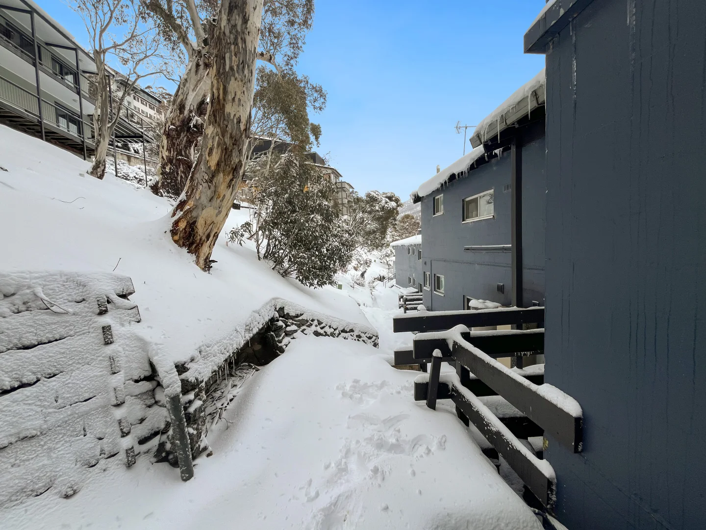 Additional image 22 of 2b/Bobuck Apartment Bobuck Lane, Thredbo NSW 2625