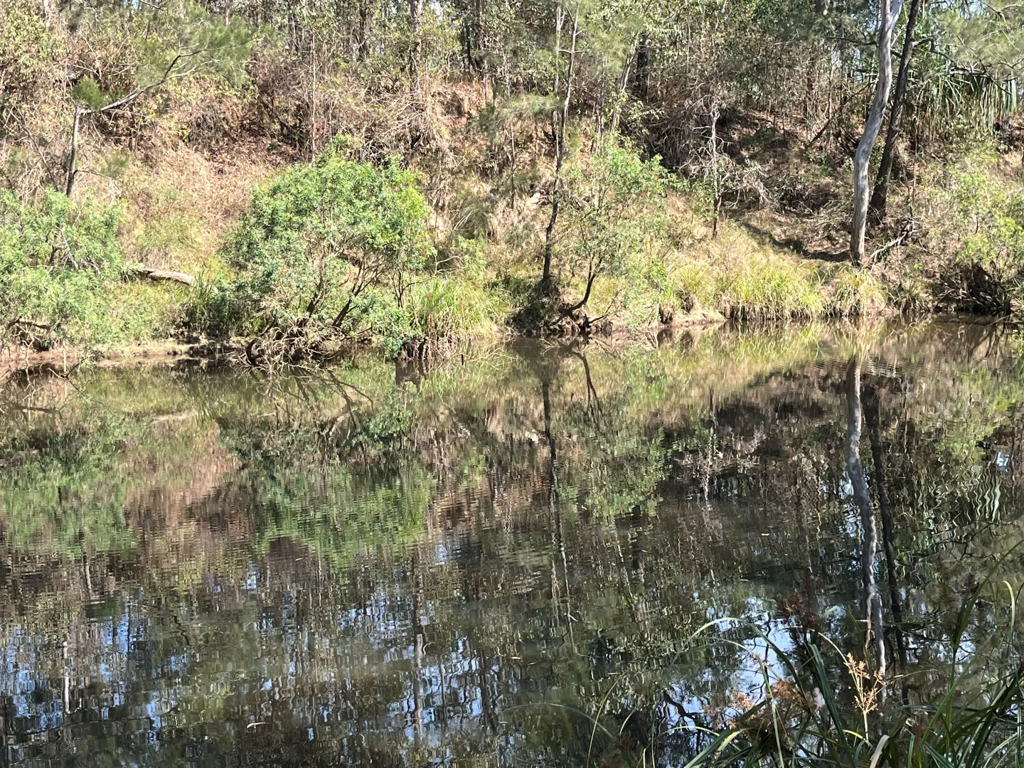 Additional image 4 of Blunder Park Station 382 Blunder Park Road, Ravenshoe QLD 4888