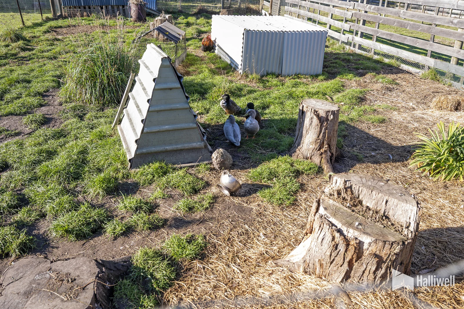 Additional image 30 of 35 Watsons Road, Northdown TAS 7307