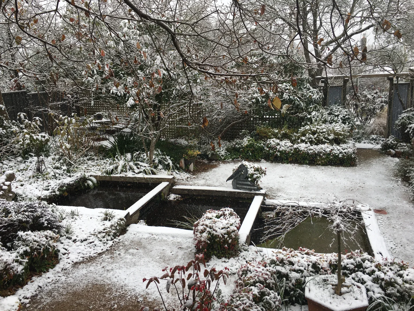 Additional image 19 of 4 Dunmore Street, Katoomba NSW 2780